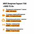 ИБП для котла Энергия Гарант 750 + Аккумулятор 75 Ач 12 В (450Вт - 91мин) - ИБП и АКБ - ИБП для котлов - Магазин сварочных аппаратов, сварочных инверторов, мотопомп, двигателей для мотоблоков ПроЭлектроТок